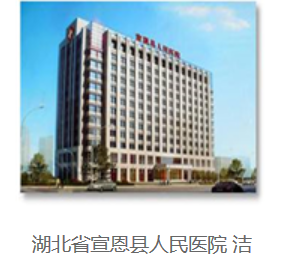  Hubei Xuan